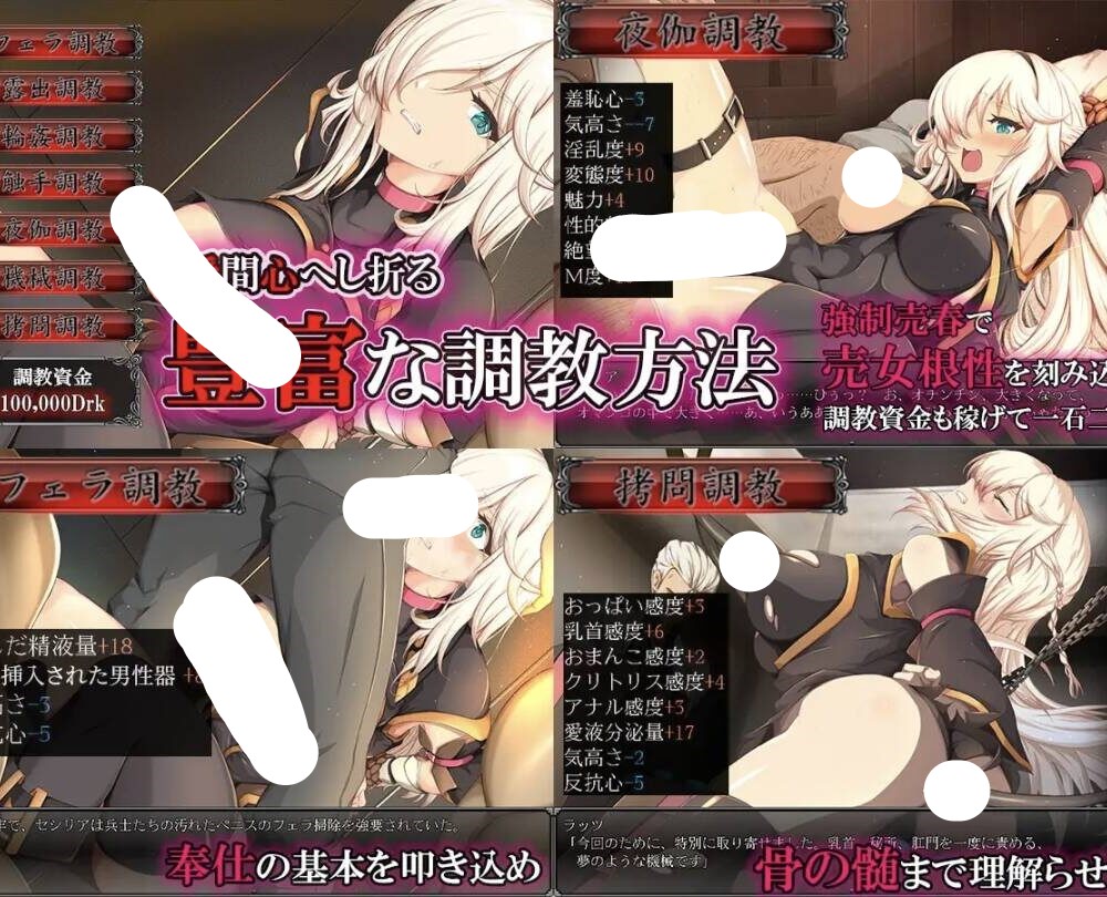 【SLGAI汉化】[PC+安卓joi]奴剑客塞西莉亚雌豚性奴隷剣士セシリア