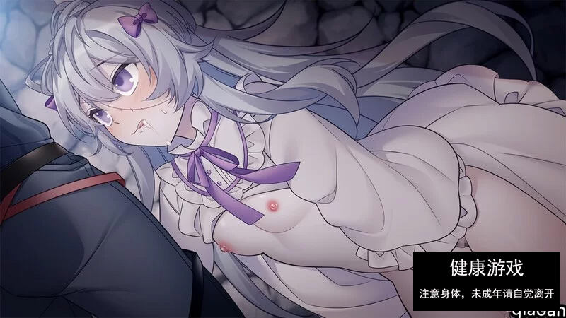 【回合RPG强X异种XPC】Memories Story 被囚禁的人们 V1.01 AI汉化 [1+412M]