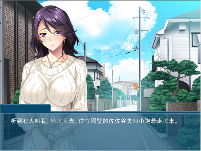 夺人所爱 AI精翻汉化版 ADV游戏+全CG存档 500M