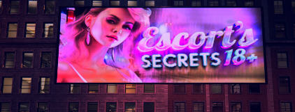 神秘陪同(Escort’s Secrets) ver1.0 官方中文版 动态SLG游戏 3G