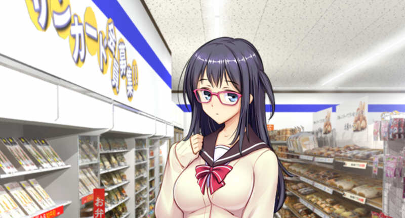 少女便利店Z全店铺统合版 AI精翻汉化版+全DLC 模拟经营游戏 3G