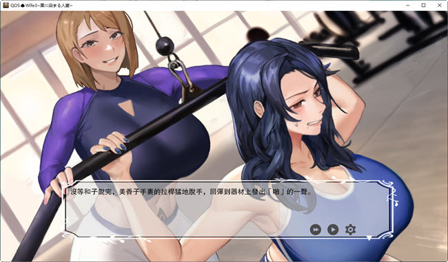 QOSWife3 官方中文版 ADV游戏&NTR 900M