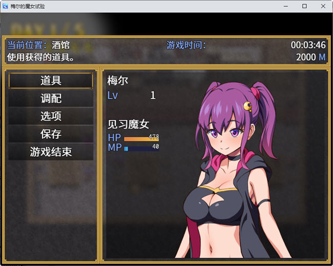 梅尔的魔女试验 官方中文版整合所有DLC PC+安卓 RPG游戏 950M