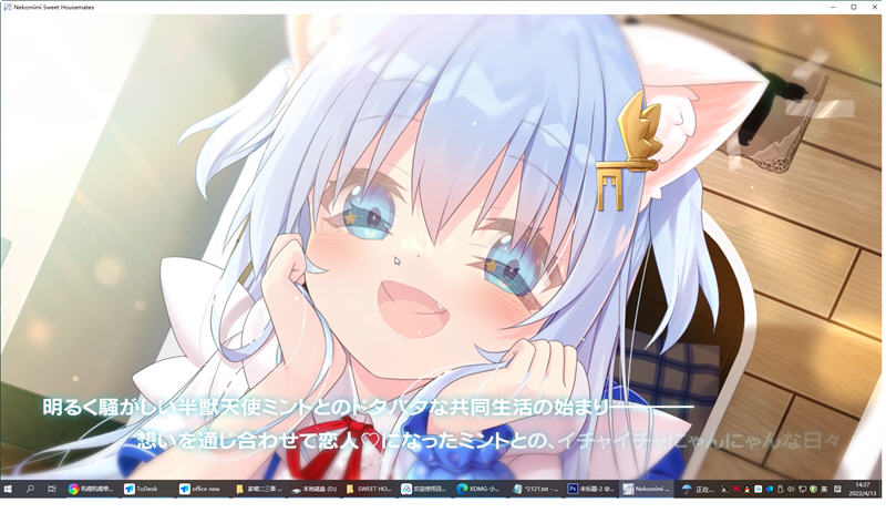 家喵二三事 Vol.1 Steam官方中文版 大型ADV游戏 4.3G