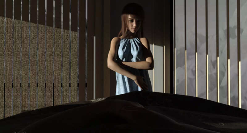 私人助理（The Personal）v0.25c 汉化作弊版 PC+安卓 SLG游戏 4.2G