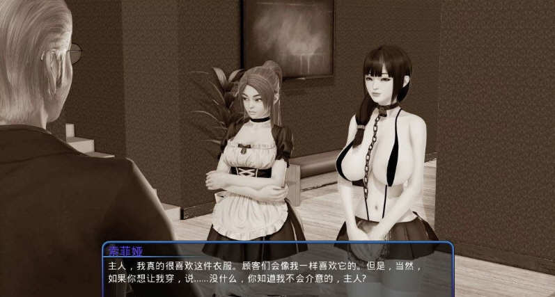 后宫大酒店 Ver1.12 精翻汉化作弊版 PC+安卓+全CG