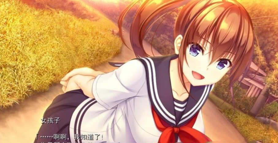 纯真之夏 中文汉化版 大型ADV游戏 全CG存档+全CV 2.4G