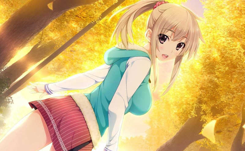 新妻LOVELY×CATION 精翻汉化版+全CG存档 大型ADV游戏
