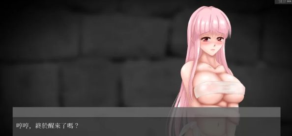 【调教触摸SLG/官中/全动态】淫狱の圣奴隶 V1.03 官方中文[PC]
