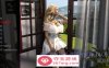 【欧美SLG汉化3D】米里亚姆计划-生活与探索 Ch.4.06p 汉化版【PC+安卓3G】