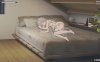 【PC+安卓互动SLG游戏】《和存在感薄弱妹妹的简单生活》Ver0.95F官方中文版更新，4.29G，含动态